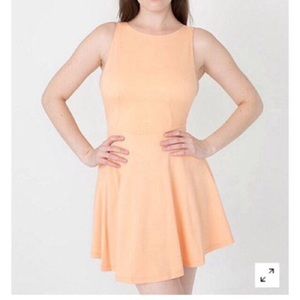 American Apparel Ponte Skater Dress